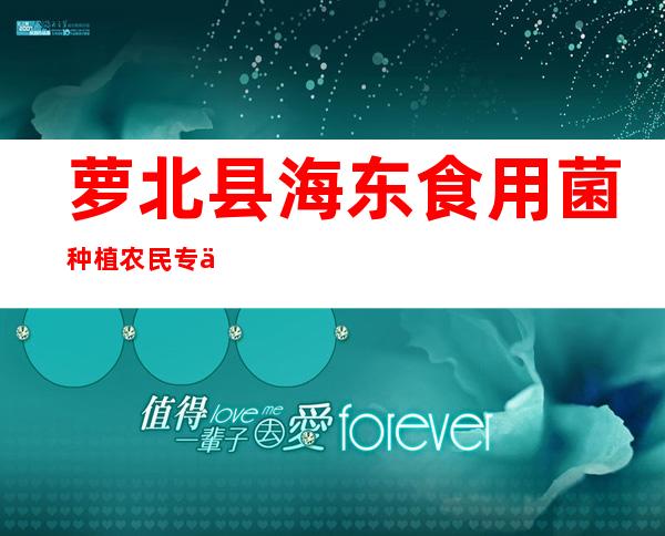 萝北县海东食用菌种植农民专业合作社